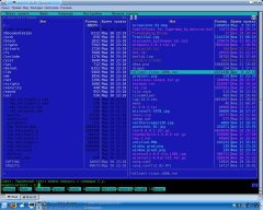Midnight Commander - Главное окно