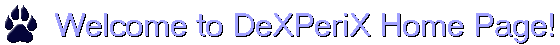 Welcome to DeXPeriX Home Page!