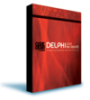 Delphi programming environment